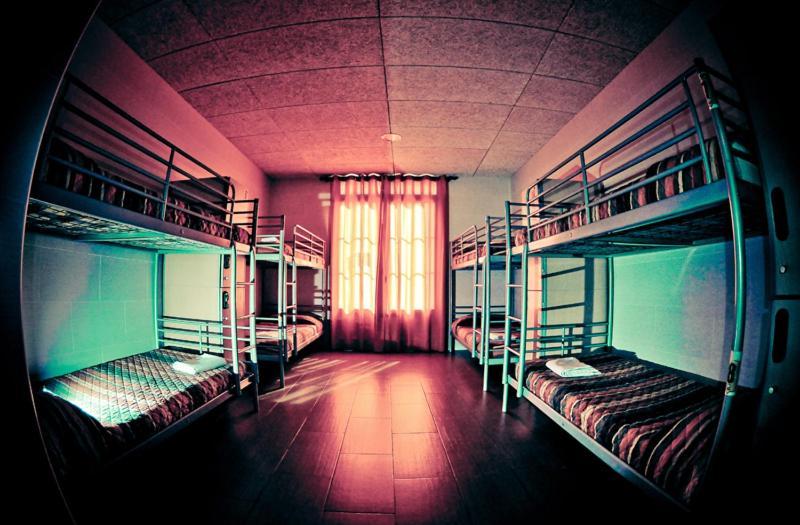 Bed 12-Bed Dormitory Room,19131257:JPEG